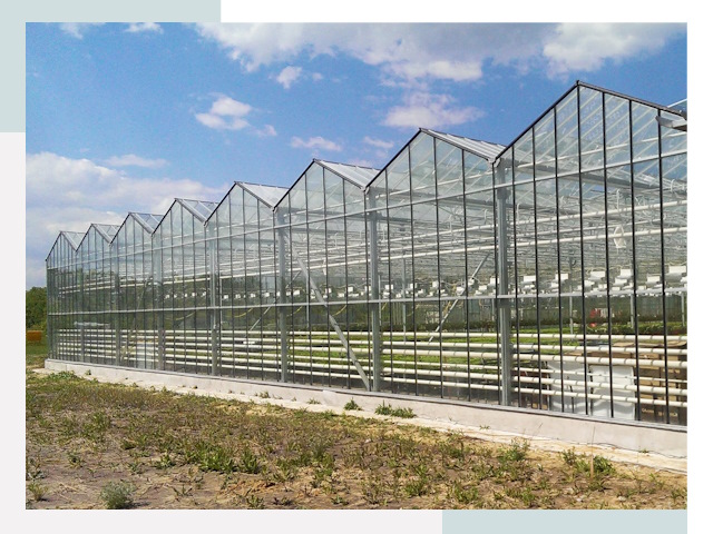 Строительство теплиц в Иркутск от 625 руб. за м²